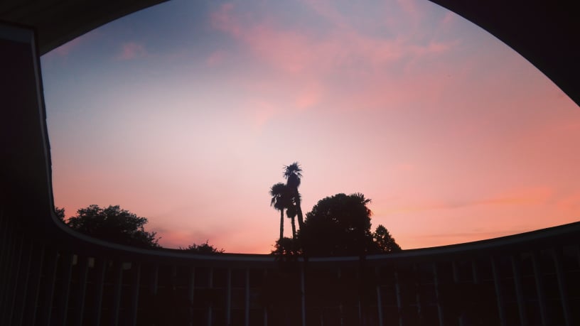 38682876_268797693901892_7359041701345755136_n